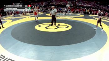 D2-190 lbs Champ. Round 1 - Camden McCluggage, West Holmes vs Lincon Shulaw, Col. DeSales