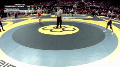 D2-190 lbs Champ. Round 1 - Camden McCluggage, West Holmes vs Lincon Shulaw, Col. DeSales