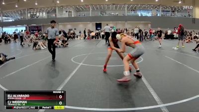 110 lbs Round 4 (6 Team) - CJ Weidman, Triangle WA vs Eli Alvarado, Rough House