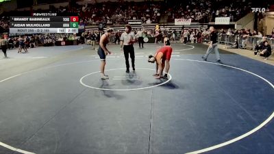 D 2 165 lbs Quarterfinal - Brandt Babineaux, Teurlings Catholic vs Aidan Mulholland, Archbishop Hannan