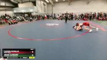 132 lbs Champ. Round 2 - Cayden McNellis, Regis Jesuit vs Grant Slinkard, Resurrection Christian