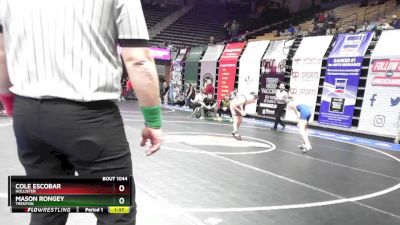 138 Class 1 lbs Champ. Round 1 - Cole Escobar, Hollister vs Mason Rongey, Trenton