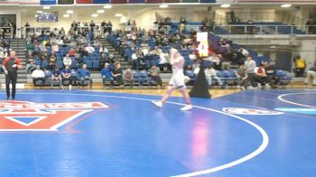 174 lbs Consi Of 8 #2 - Hunter Hohman, American vs Greyson Catlow-Sidler, LIU