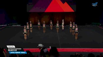 Raleigh Elite Diamonds - Black Ice [2025 L2 Senior - Small Prelims] 2025 The D2 Summit