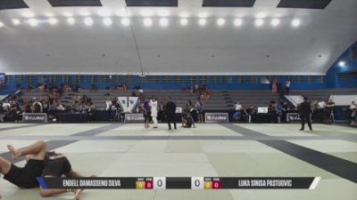 LUKA SINISA PASTUOVIC vs ENDELL DAMASSENO SILVA 2026 FJJ Rio Carioca