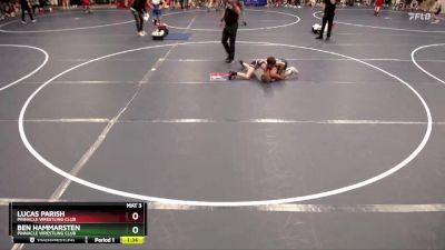 78 lbs Quarterfinal - Lucas Parish, Pinnacle Wrestling Club vs Ben Hammarsten, Pinnacle Wrestling Club