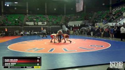 126 lbs Quarterfinal - Davis Reiff, Vestavia Hills vs Alec Nelson, Hewitt-Trussville