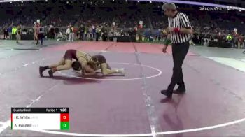 D1-160 lbs Quarterfinal - Kyle White, Davison vs Alex Russell, Holt