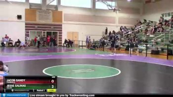 145 lbs Champ. Round 2 - Jesse Salinas, Selah vs Jacob Gandy, Ferndale