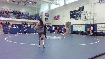 103 lbs Round 1 - Natalie Johnson, Washington State University vs Liana Ferreira, Southern Oregon University