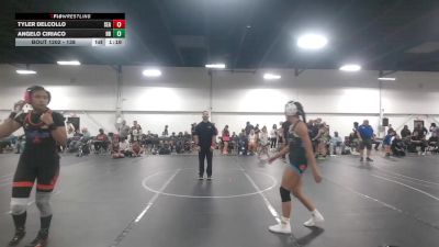 138 lbs Champ. Round 1 - Angelo Ciriaco, Honey Badgers vs Tyler Delcollo, Seawolf