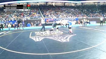 D3-215 lbs 1st Place Match - Rocco Redmon, Dundee vs Brady Warner, Napoleon