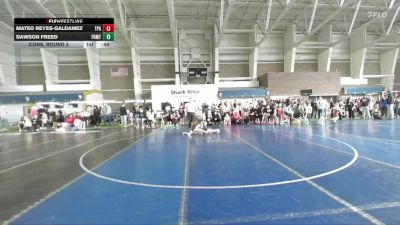 54 lbs Cons. Round 5 - Mateo Reyes-Galdamez, Team Pride Academy vs Dawson Freed, Team Prestige Wrestling