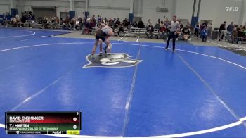 149 lbs Champ. Round 1 - TJ Martin, Pennsylvania College Of Technology vs David Ensminger, Cortland State