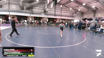 100 lbs Round 5 - Iliana Rubio, Takedown-City Wrestling vs Arlette Rodriguez, Bordertown Brawlers Wrestling Club