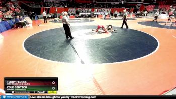 3A 120 lbs Quarterfinal - Teddy Flores, Park Ridge (Maine South) vs Cole Gentsch, Normal (Community)