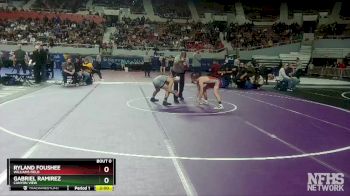 D2-113 lbs Semifinal - Gabriel Ramirez, Canyon View vs Ryland Foushee, Williams Field