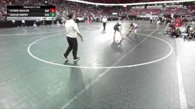 D1-215 lbs Semifinal - Gatlin Empey, Stoughton vs Ayden Grulke, Hartford Union