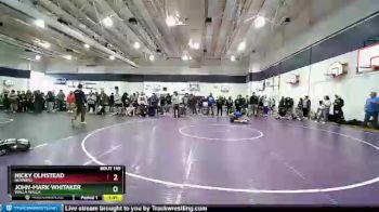 138 lbs Quarterfinal - Nicky Olmstead, Newberg vs John-Mark Whitaker, Walla Walla