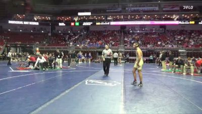 3A-190 lbs Cons. Round 2 - Dusty Cook, Xavier, Cedar Rapids vs Deegan Lewis, Waverly-Shell Rock