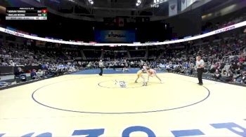 II-101 lbs 1st Place Match - Declan Mckee, Tioga vs Adrian Torres, Southwestern