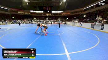 165 lbs Cons. Round 1 - Logan Winchester, Williams High School vs Trevor Foshee, Bradshaw Mountain