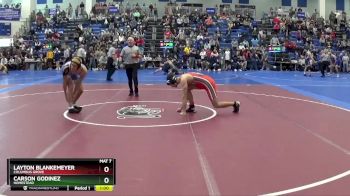 165 lbs Cons. Round 7 - Carson Godinez, Homestead vs Layton Blankemeyer, Columbus Grove