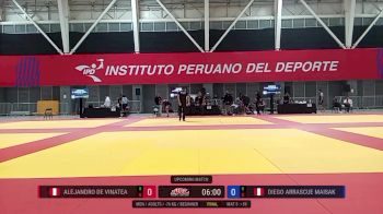 Alejandro De Vinatea vs Diego Arrascue 2025 ADCC Lima Open