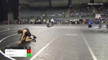 125 lbs Quarterfinal - Garrett Ricks, Western Wyoming vs Cruz Aguilar, Niacc