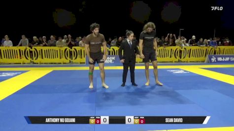Sean David vs Anthony Nu Gojani 2025 Pan IBJJF Jiu-Jitsu No-Gi Championship