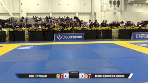 Renato Rodrigues De Andrade vs Everett J Vaccaro 2025 World IBJJF Jiu-Jitsu No-Gi Championship