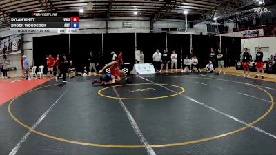 74 kg Cons. Round 6 - Dylan Whitt, Viking Wrestling Club (IA) vs Brock Woodcock, Southern Illinois Regional Training Center