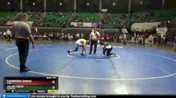 195 lbs Quarterfinal - Jalon Helm, Piedmont vs Camerson Gosha, Dora