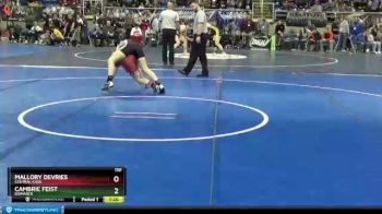 110 lbs Quarterfinal - Mallory Devries, Central Cass vs Cambrie Feist, Bismarck