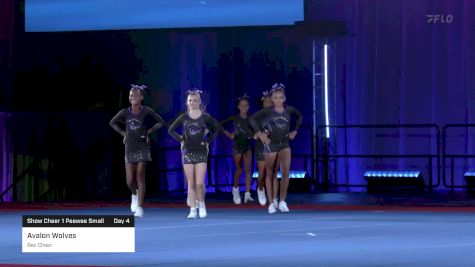 Avalon Wolves - Rec Cheer [2023 Show Cheer 1 Peewee Small Day 4] 2023 Pop Warner National Cheer & Dance Championship