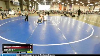 140 lbs Rd# 8- 12:30pm Saturday Final Pool - Raymond Fitzgerald, PA Gold vs Mihai Necula, Minion Black