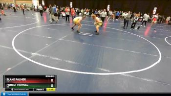 285 lbs Round 3 - Blake Palmer, TX vs Forest Howell, MT