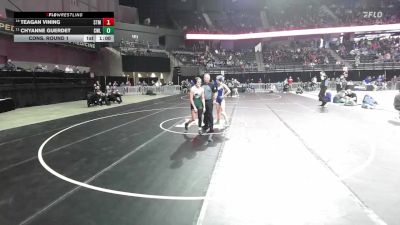 Cons. Round 1 - Teagan Vining, St. Thomas More vs Chyanne Guerdet, Clark/Willow Lake