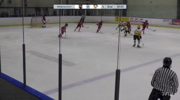 Replay: Home - 2024 Reapers U12 vs Penguins U12 | Nov 30 @ 7 AM