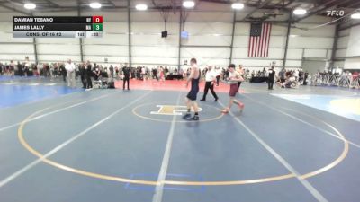 132 lbs Consi Of 16 #2 - Damian Tebano, NY vs James Lally, MA