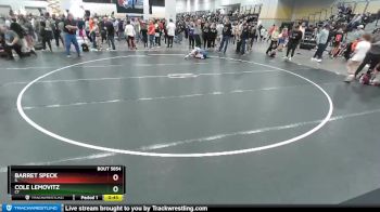 87 lbs Cons. Round 7 - Cole Lemovitz, CT vs Barret Speck, IL