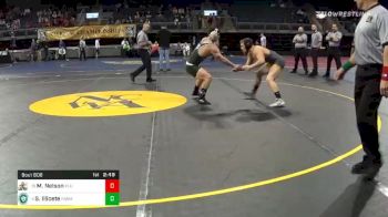 165 lbs Consolation - Max-Henry Nelson, Pacific Lutheran University vs Stephen Illicete, Farmingdale State College