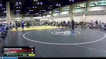 113 lbs Quarters & Wb (16 Team) - Tyler Perkkio, Michigan Blue vs Nicolas Schlachter, SD Red