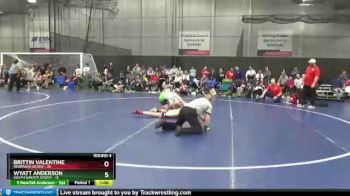 125 lbs Round 4 (6 Team) - Wyatt Anderson, South Dakota Storm vs Brittin Valentine, Nebraska Silver