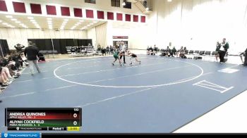 132 lbs Quarterfinals (8 Team) - Andrea Quinones, Apple Valley, MN vs Aliyah Cockfield, Pioria Richwoods, IL