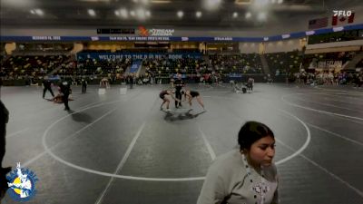 130 lbs Quarterfinal - Lilli Cooper, Denver vs Caroline Pohlman, Linn-Mar