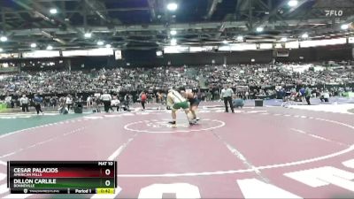 215 lbs Cons. Round 2 - Cesar Palacios, American Falls vs Dillon Carlile, Bonneville