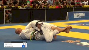 JAY ZEBALLOS vs VINCE VANDERLIPE 2018 World Master IBJJF Jiu-Jitsu Championship