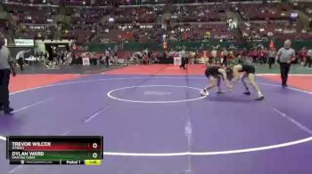 D3-113 lbs Champ. Round 1 - Dylan Ward, Martins Ferry vs Trevor Wilcox, Otsego