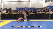 Sean David vs Heniel Schucman 2024 World IBJJF Jiu-Jitsu No-Gi Championship